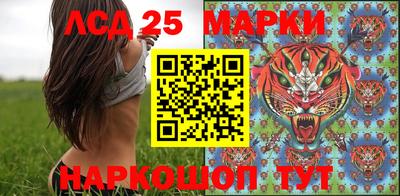 хмурый Кингисепп