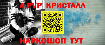 хмурый Кингисепп