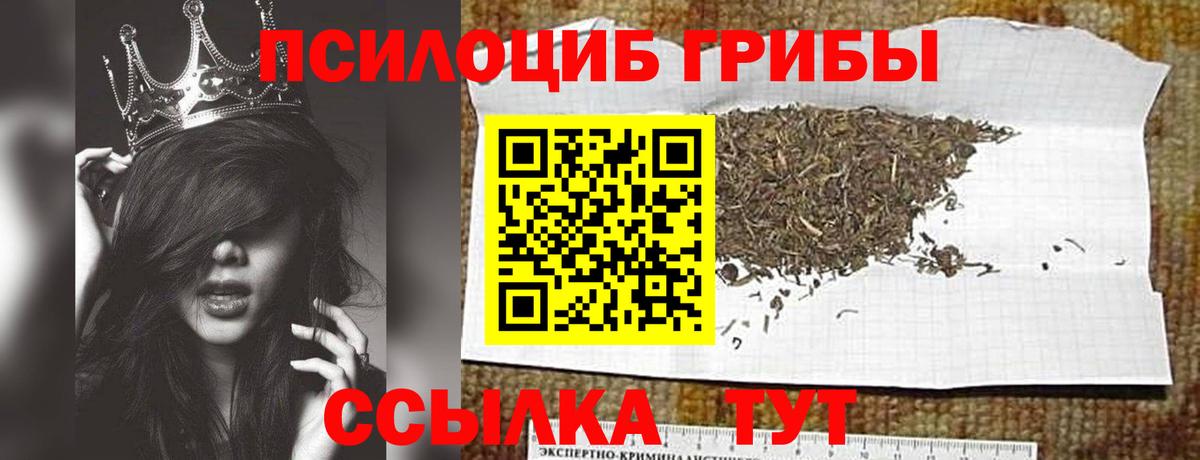 Галлюциногенные грибы GOLDEN TEACHER Ухта