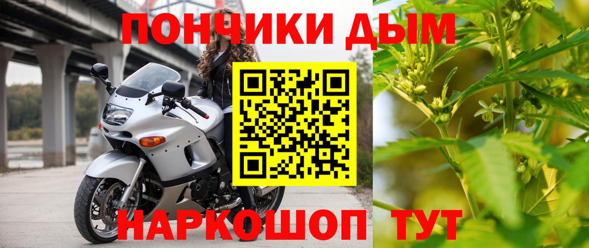 Каннабис OG Kush Ухта